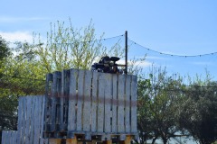 Grupos-Friendlyfire-Paintball-Sevilla-1-abril-2023-56