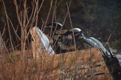 DSC_0112