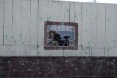 Grupos-Friendlyfire-Paintball-Sevilla-1-11-2023-30