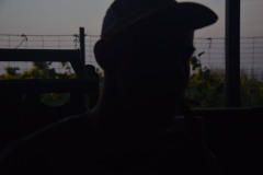 DSC_0185