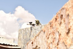 Grupos-Friendlyfire-Paintball-Sevilla-10-06-2023-42