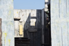 DSC_0048