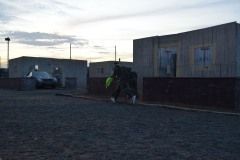 DSC_0300
