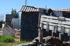 Grupos-Friendlyfire-Paintball-Sevilla-15-03-2023-19