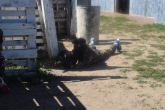 Grupos-Friendlyfire-Paintball-Sevilla-15-03-2023-60