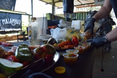 Grupos-Friendlyfire-Paintball-Sevilla-15-03-2023-68