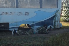 DSC_0016