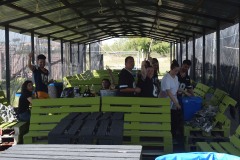 Grupos-Friendlyfire-Paintball-Sevilla-16-marzo-2024-191