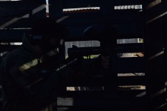 DSC_0022