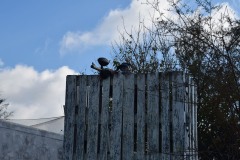 Grupos-Friendlyfire-Paintball-Sevilla-02-diciembre-2023-47