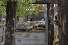 Grupos-Friendlyfire-Paintball-Sevilla-20-05-2023-48