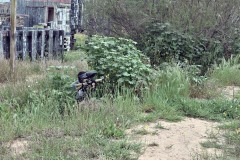 Grupos-Friendlyfire-Paintball-Sevilla-23-marzo-2024-1