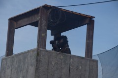 DSC_0179