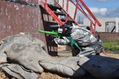 Grupos-Friendlyfire-Paintball-Sevilla-24-febrero-2024-40