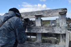 Grupos-Friendlyfire-Paintball-Sevilla-24-febrero-2024-69