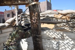 DSC_0235