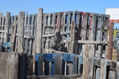 Friendlyfire-paintball-28-febrero-2023-184