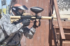 DSC_0184