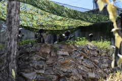 Grupos-Friendlyfire-Paintball-Sevilla-30-03-2023-110