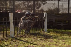 Grupos-Friendlyfire-Paintball-Sevilla-5-noviembre-2023-48