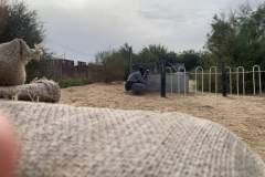 IMG-20210911-WA0048