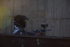 DSC_0193