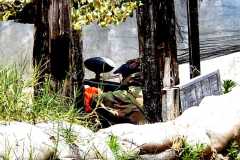 Grupos-Friendlyfire-Paintball-Sevilla-7-8-junio-2024-184