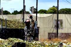 Grupos-Friendlyfire-Paintball-Sevilla-7-8-junio-2024-189