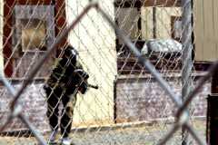 Grupos-Friendlyfire-Paintball-Sevilla-7-8-junio-2024-206