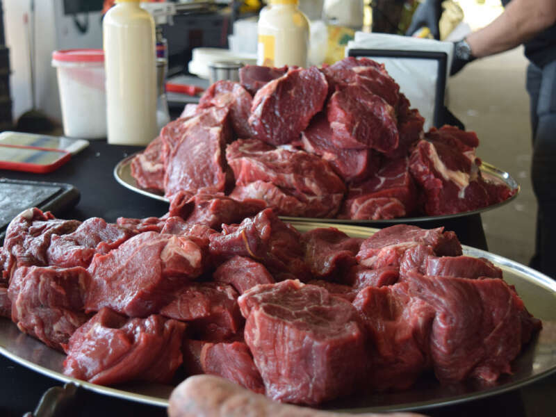 Imagen de carne para hacer en la barbacoa. Friendlyfire Paintball