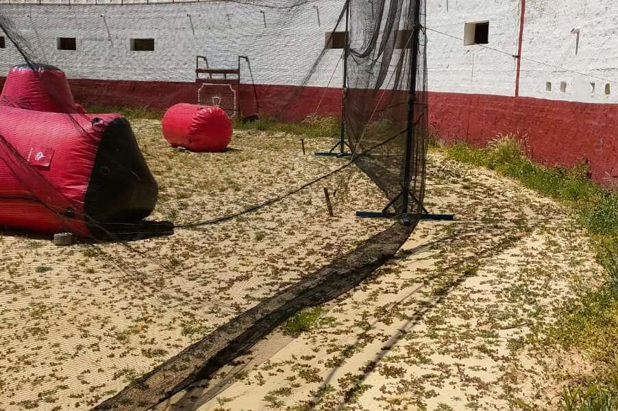 Paintball-movil-Friendlyfire-Paintball-Sevilla-4-mayo-2024 (5)